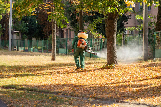 Best Emergency Pest Control  in High Ridge, MO